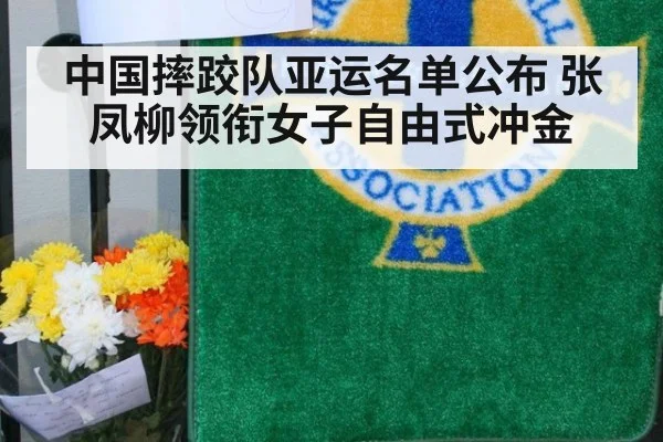 中国摔跤队亚运名单公布 张凤柳领衔女子自由式冲金
