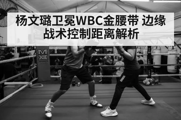 杨文璐卫冕WBC金腰带 边缘战术控制距离解析