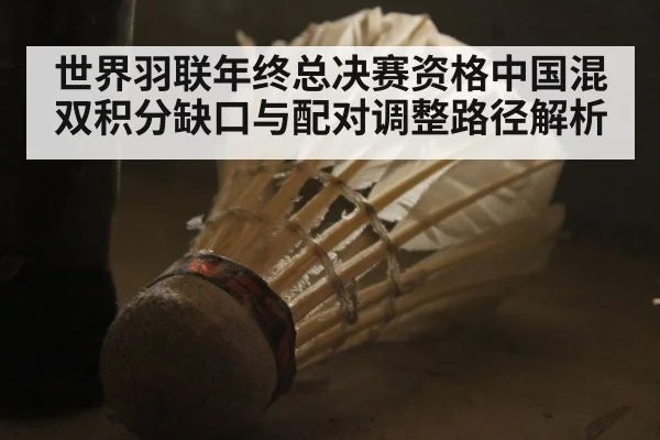 世界羽联年终总决赛资格中国混双积分缺口与配对调整路径解析