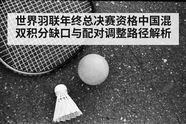badminton shuttlecock racket court